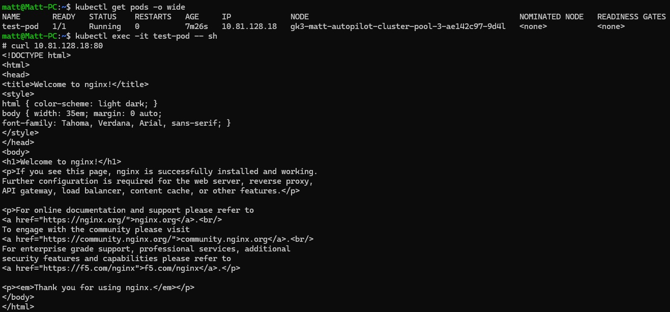 Verification of running NGINX workload
